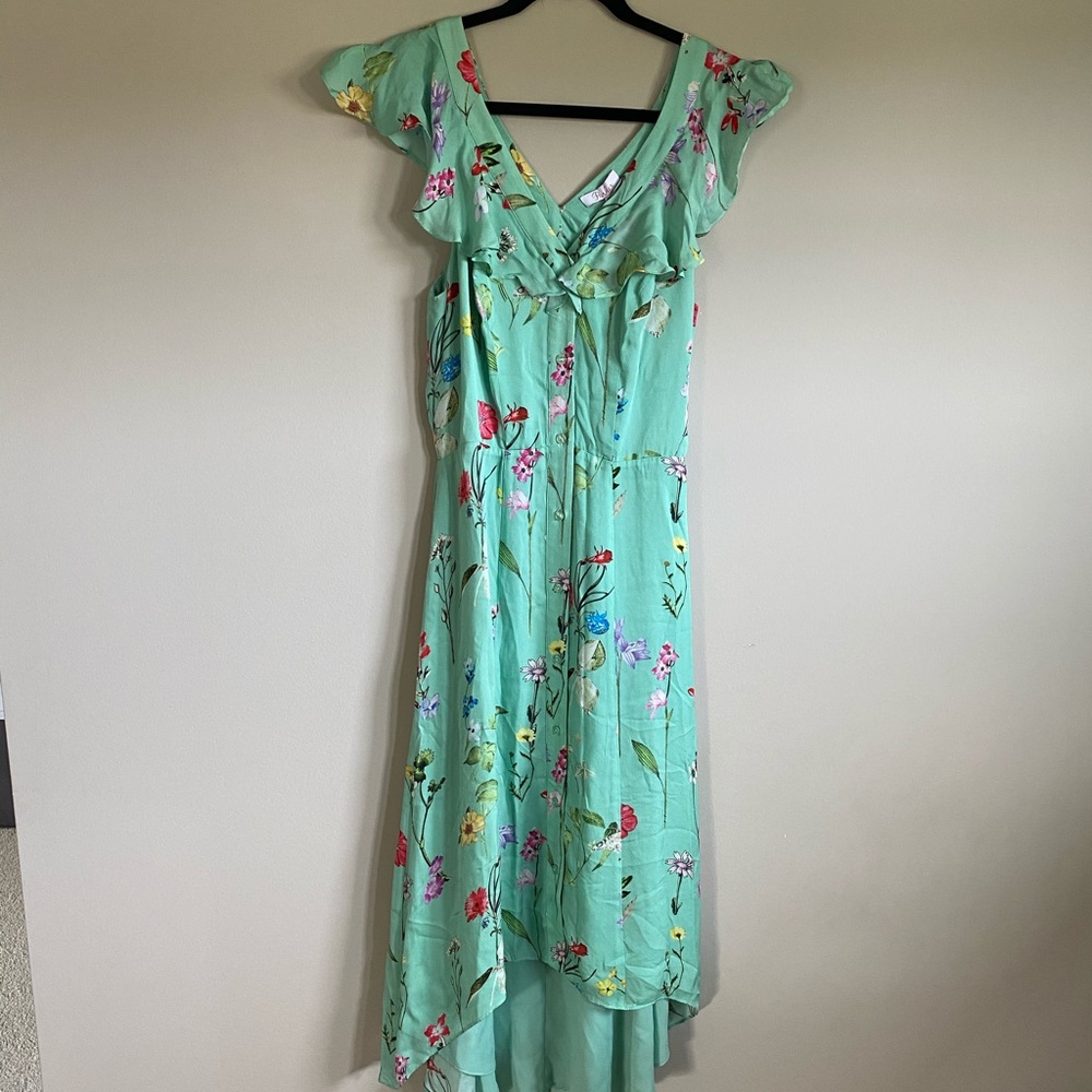 Parker Raven Floral Ruffle Front Dress.